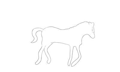 馬　シルエット　白　イラスト