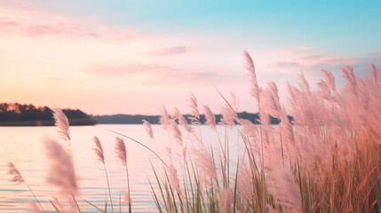 a lake with tall grass and a lake, in the style of richly colored skies, light cyan and pink