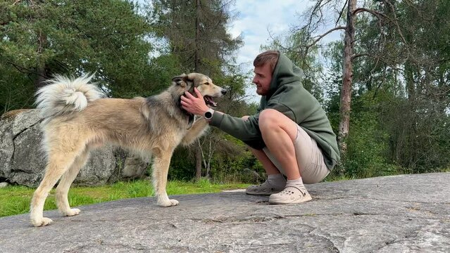 man playing with happy a big East Siberian Laika dog