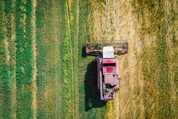 Harvester harvests crops in fields view from above