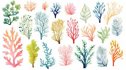 Set of colorful corals, seaweed and Marine plants on white background
