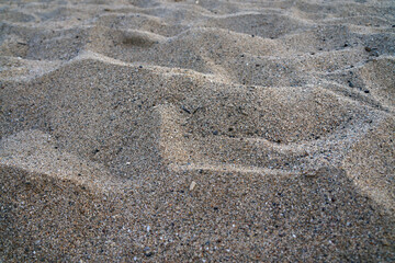 Sand texture. Background with fine grey, gold sand. Close-up texture
