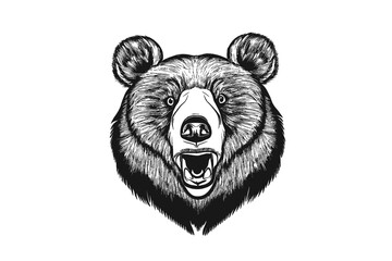 Majestic Bear Strength: A Powerful Vector Illustration of a Bear's Head