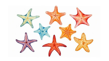 Watercolor set of starfish on isolated white background