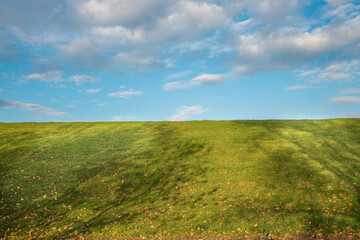 Grünes Gras und blauer Himmel mit Wolken am Elbdeich