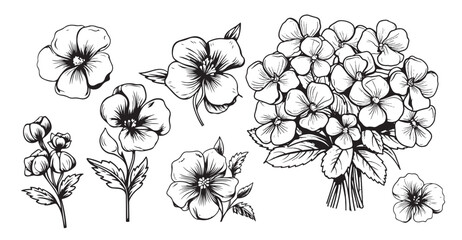 SET of Violet flower sketch hand drawn Vector Garden flowers