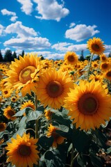  Russian countryside landscape with fields of sunflowers in full bloom, Generative AI