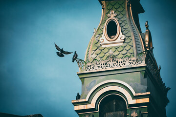 Pigeons nesting in an old tower - obrazy, fototapety, plakaty
