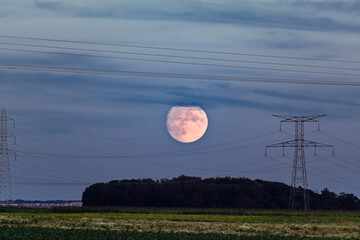Super moon at the end of september 2023, full harvest moon, larger and brighter, perigee - obrazy, fototapety, plakaty