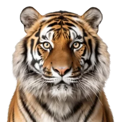 Stoff pro Meter tiger face shot isolated on transparent background cutout © PNG