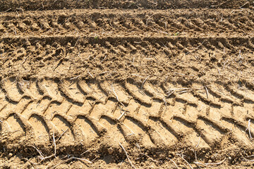 Traces de roues de tracteur dans la terre lors de la récolte de pomme de terre