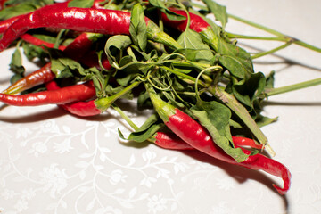 Close up view of a red peppers plant