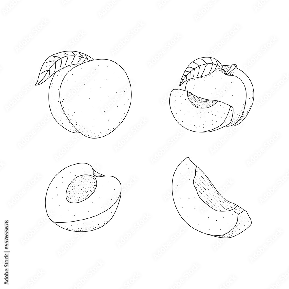 Canvas Prints Peach vector set of stock illustrations in hand drawn doodle style isolated on white background