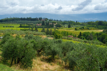 Rural landscape near Cavriglia, Arezzo, Tuscany