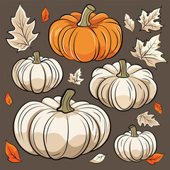 Set of pumpkins. Vector illustration for design poster, banner, print.
