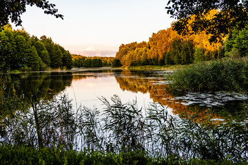 Fototapeta na wymiar Autumn in the park with pond, woods, reflection of trees and reeds. Calm summer evening at Ulbroka lake, Latvia. Golden hour at the lake. Sunset over the lake surrounded by reeds and wood.