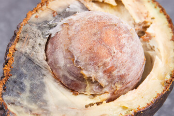 Inedible avocado with mold. Dark background. Unhealthy food
