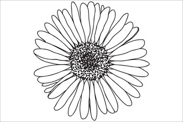 Daisy is drawn in black outline, intended for printing on cards, clothes, accessories, March 8, Valentine and other occasions.