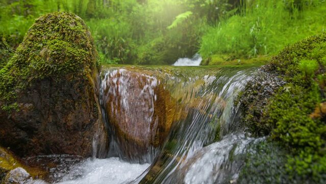 River with crystal clear water flows among stones covered with moss. Gimbal slow motion sho of mountain stream with small waterfalls surrounded by green grass