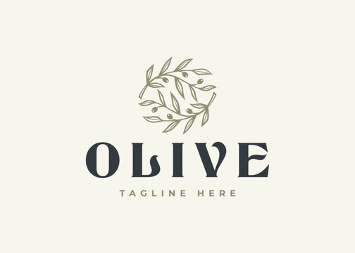 olive branch logo vector illustration