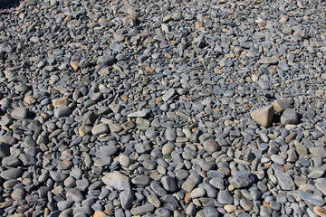 pebbles on the beach