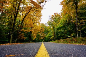 Autumn Leaves and Country Road in Huntsville, near Algonquin Provincial Park, Muskoka, Ontario, Canada