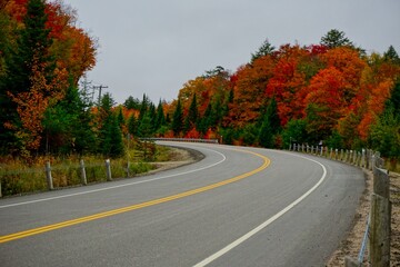 Highway in Algonquin Provincial Park, Muskoka, Ontario, Canada - obrazy, fototapety, plakaty