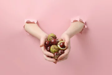 Fotobehang Hands holding chestnuts with peel on pink background © Yevheniia