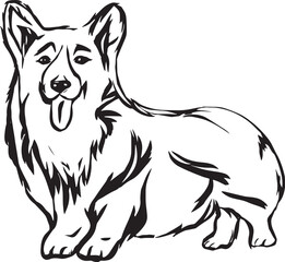 Cartoon Black and White Illustration Vector Of A Corgi Dog Standing Up With Tongue Out