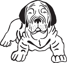 Cartoon Black and White Illustration Vector Of A Bull Mastiff Dog Laying Down