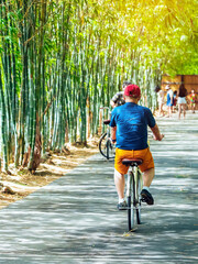 Back view of happy Asian man rides bicycle in sunny bamboo park. Man ride bicycle with having fun to exercise activity with healthy lifestyle in garden. Chilling and relaxing Asian man enjoys nature.