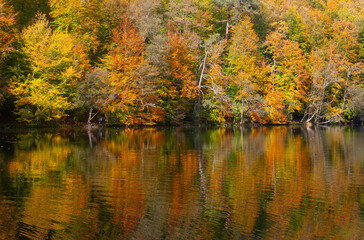 Yedigoller, Bolu, Turkey - October 23rd 2022: Autumn's reflection on the tranquil lake, lakeside serenity in the heart of autumn