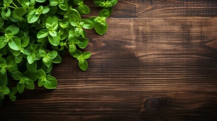 Obraz na płótnie Canvas Aromatic Marjoram Herbs Photorealistic Horizontal Background. Healthy Vegetarian Diet. Ai Generated Background with Delicious Aromatic Marjoram Herbs On Wooden Countertop with Copy Space.