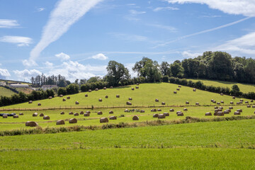 Hay Bales in Northern Ireland Fields