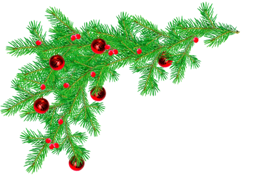 Green fir branch decorated with red balls and berries isolated on a transparent background. Christmas and New Year concept.