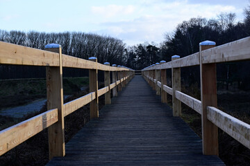 Naklejka premium Steg