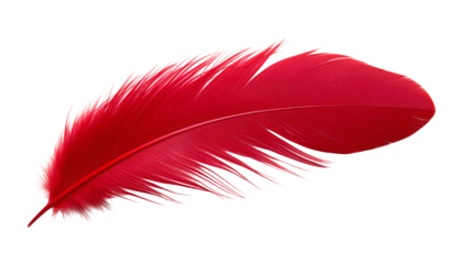 red feather isolated on transparent background cutout