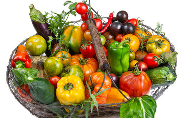 Basket with vegetables cabbage, carrots, cucumbers,butternuts tomatoes, radish ,zuchini and peppers white background ,Concept of biological, bio products, bio ecology, grown by yourself, vegetarians.