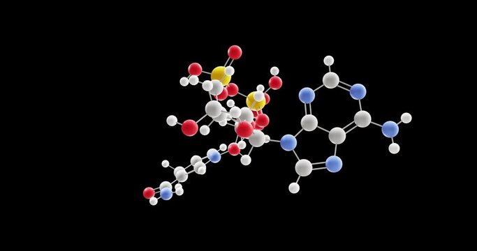 NADH molecule, rotating 3D model of coenzyme, looped video with alpha channel