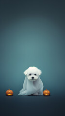 Cute dog wrapped in a sheet wearing a ghost costume on a minimalistic background. Halloween concept. 