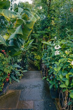 A beautiful botanical garden in Inverness, Scotland. Relax in the atmosphere in the rain in the gazebo between flora and fauna.