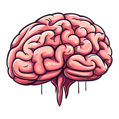 brain organs hand drawn illustration 