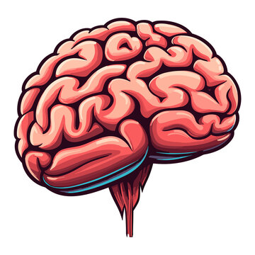 recommend clip art: brain organs hand drawn illustration 