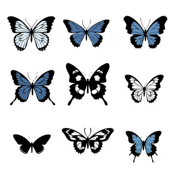 collection of butterflies, butterflies silhouette, silhouette butterflies