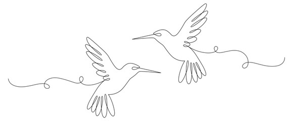 Hummingbird line art style