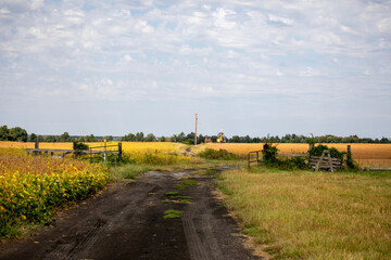Obraz premium Farm life on a small family farm