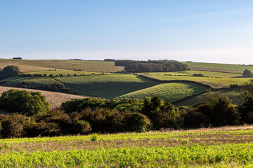 A rural Sussex landscape near Ditchling Beacon, on a sunny September morning