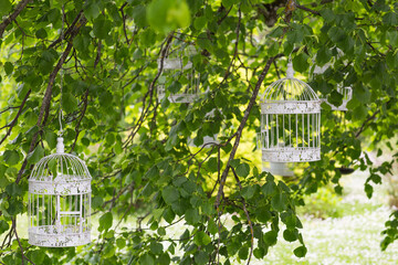 white decorative cages hung on a tree - a decorative element for a wedding 