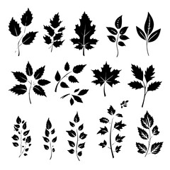 set of black silhouettes of leaves