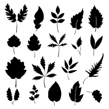 set of black silhouettes of leaves